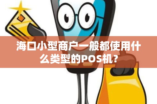 海口小型商户一般都使用什么类型的POS机？