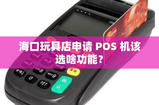 海口玩具店申请 POS 机该选啥功能？