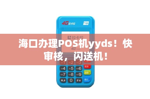 海口办理POS机yyds！快审核，闪送机！