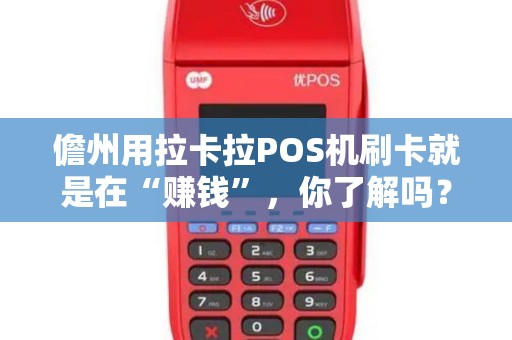 儋州用拉卡拉POS机刷卡就是在“赚钱”，你了解吗？