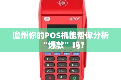 儋州你的POS机能帮你分析“爆款”吗？