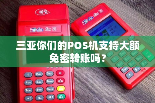 三亚你们的POS机支持大额免密转账吗？