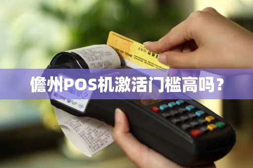 儋州POS机激活门槛高吗？