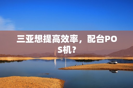 三亚想提高效率,配台POS机?