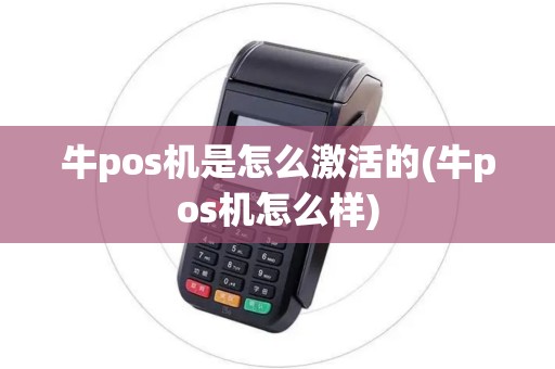 牛pos机是怎么激活的(牛pos机怎么样) 牛pos机是怎么激活的(牛pos机怎么样)