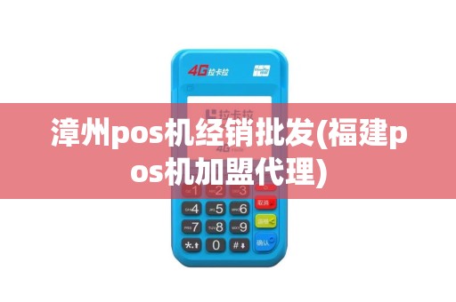 漳州pos机经销批发(福建pos机加盟代理)
