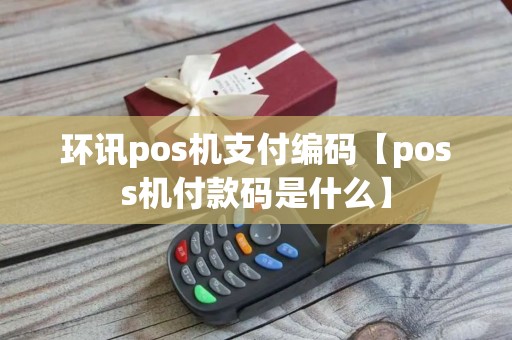 环讯pos机支付编码【poss机付款码是什么】
