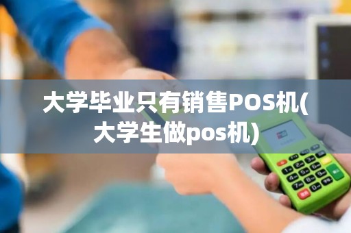 大学毕业只有销售POS机(大学生做pos机)
