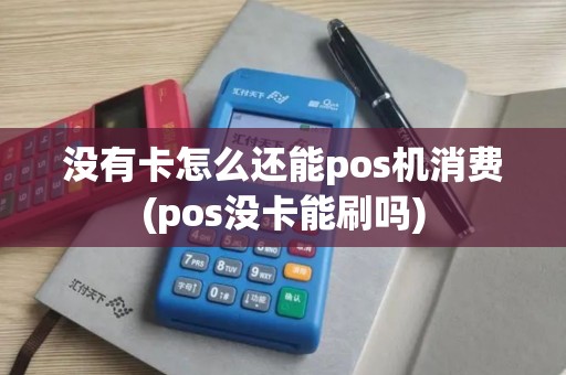 没有卡怎么还能pos机消费(pos没卡能刷吗)
