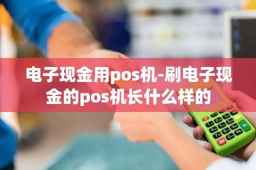 电子现金用pos机-刷电子现金的pos机长什么样的