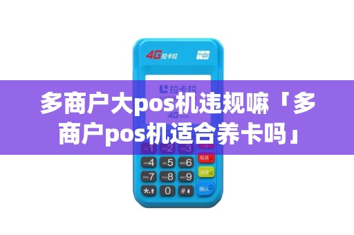 多商户大pos机违规嘛「多商户pos机适合养卡吗」