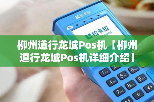 柳州道行龙城Pos机【柳州道行龙城Pos机详细介绍】