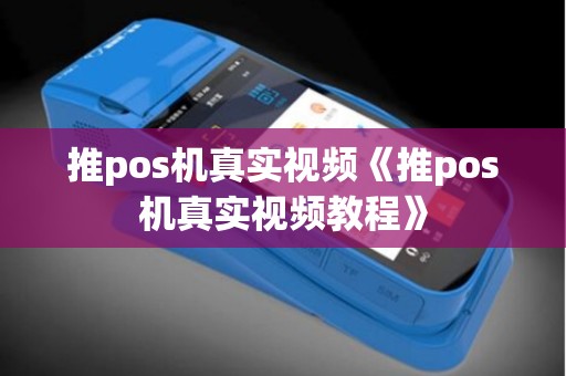推pos机真实视频《推pos机真实视频教程》