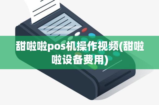 甜啦啦pos机操作视频(甜啦啦设备费用)
