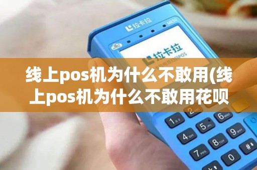 线上pos机为什么不敢用(线上pos机为什么不敢用花呗)