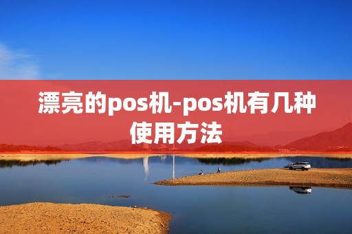 漂亮的pos机-pos机有几种使用方法