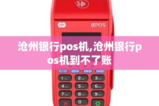 沧州银行pos机,沧州银行pos机到不了账