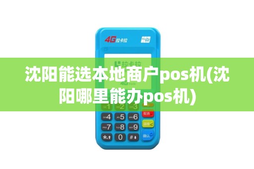 沈阳能选本地商户pos机(沈阳哪里能办pos机)