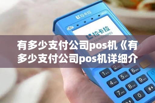 有多少支付公司pos机《有多少支付公司pos机详细介绍》